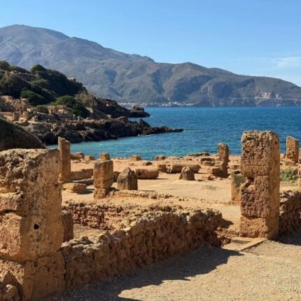 Tipaza